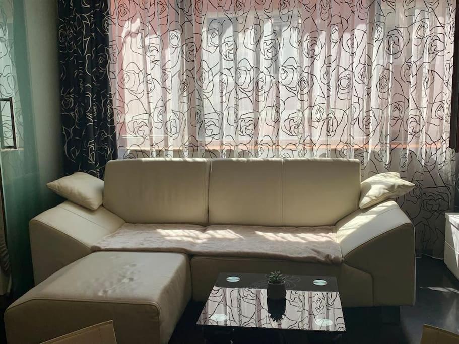 Lovely Sofia Apartment Katerina With Free Parking Exteriör bild