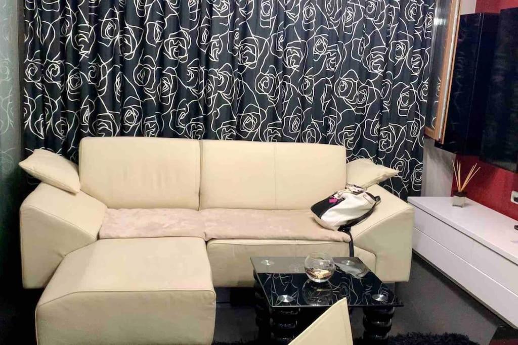 Lovely Sofia Apartment Katerina With Free Parking Exteriör bild