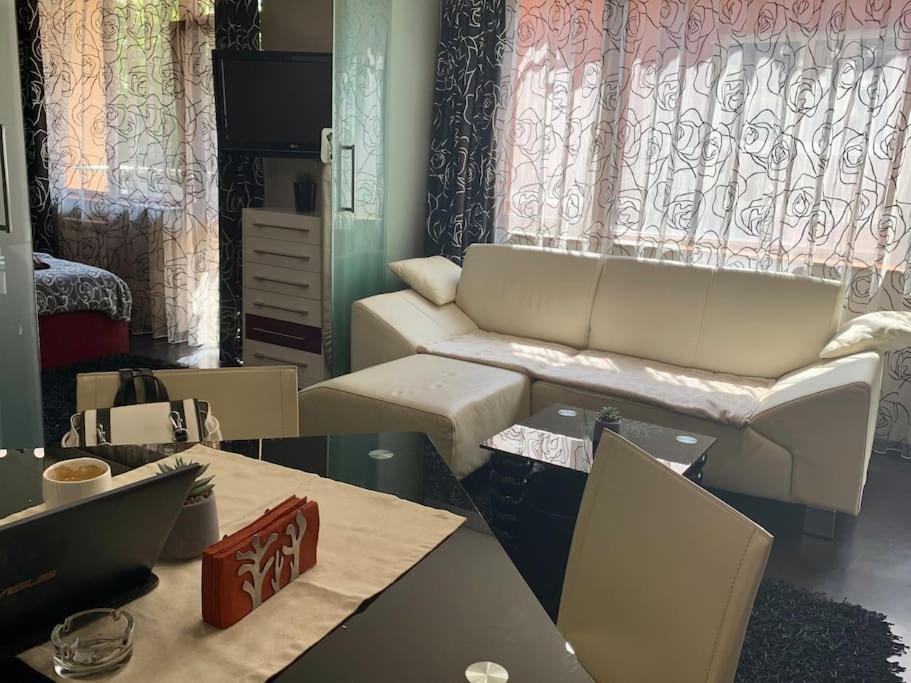 Lovely Sofia Apartment Katerina With Free Parking Exteriör bild