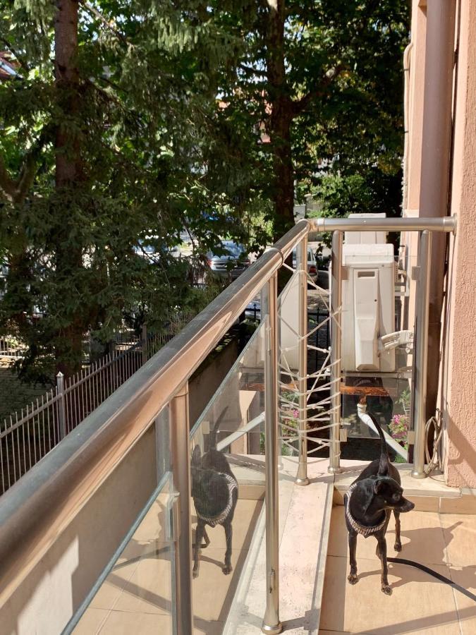 Lovely Sofia Apartment Katerina With Free Parking Exteriör bild